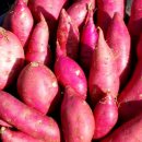 팔봉농장 이미지