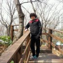 팔용산체육공원 네이버블로그
