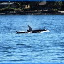 행복보청기 이미지