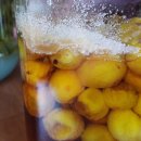 한편농원 이미지