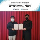 하이블럭스