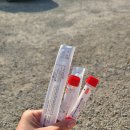 양산보건지소 | 양산 물금읍 보건지소 임시선별검사소 후기 (결과 나오는 시간)