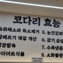 어해랑왕코다리 아산탕정점