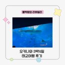 주연카서비스 | 오키나와 태교여행 3박4일 추천 힐튼세소코 오키나와 리조트 츄라우미 수족관 1-2일차