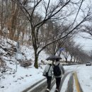 수옥목장 이미지