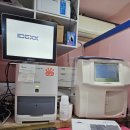 스머프동물병원 이미지