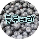 양양블루베리