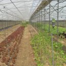 박사농장 이미지