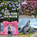 장생포사진관 | 2026 울산 장생포 수국 축제 페스티벌 후기 주차, 입장료, 셔틀버스, 포토존, 먹거리, 축제 배치도