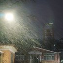 보금자리 이미지