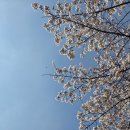 산새공원 입구 이미지