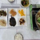 전원일기표고버섯