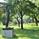 변조된 꿈 이미지