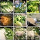 칼슘이 풍부한 식품 10가지 이미지