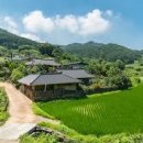 당산나무민박 이미지
