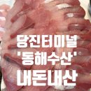 동해시-44 | 충남/당진터미널 맛집 '동해수산참치' 내돈내산 솔직후기