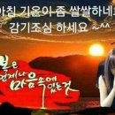 미더