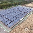 제주마을태양광발전소 이미지