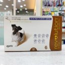 안중온누리약국 이미지