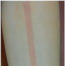 경희광제한의원 이미지