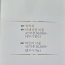 온애 이미지
