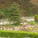 다산농원 이미지