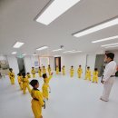 비룡태권도 이미지