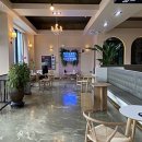 stadium of dogs 이미지