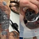 동현농장2 이미지