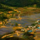 그린목장 이미지