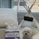 세이메드 이미지