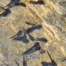 민들레샘물 지역아동센터 이미지