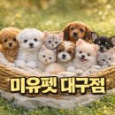 창녕동물병원 이미지