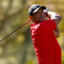 코리아타이거체육관 이미지