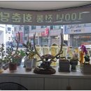 회춘당한약방 - 영월군 동강로 167 | 회춘당한약방