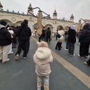 월드밸리 | 에버랜드 사파리 로스트밸리 판다월드 대기 없이 구경 성공 후기