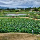 연꽃테마파크 방문자 센터 이미지