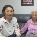 신흥이용원 네이버블로그