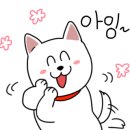 카니코리아 이미지