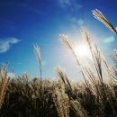 자양유수지체육시설 이미지