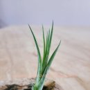 근형농장 이미지