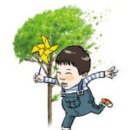 나무와꿈어린이집 이미지