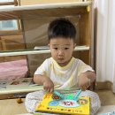 ♥️ 매반 7월 2주 ♥️ 여름곤충과 비 이미지
