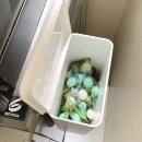 설현농장 | 요즘 먹는 것, 요즘 산 것