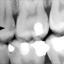 잠실원치과의원 이미지
