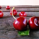 체리 - 송파구 오금로11길 11-15 | 체리