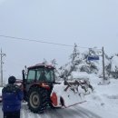 파니퍼니홈 이미지