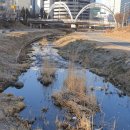 천안천8길 이미지