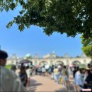 로얄자연에스파 | 용인여행지 &#34; 에버랜드 워터스텔라 썸머워터펀 &#34; 후기, 꿀팁, 물품보관함 (거의 워터밤💙)
