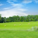 김남석농장 이미지